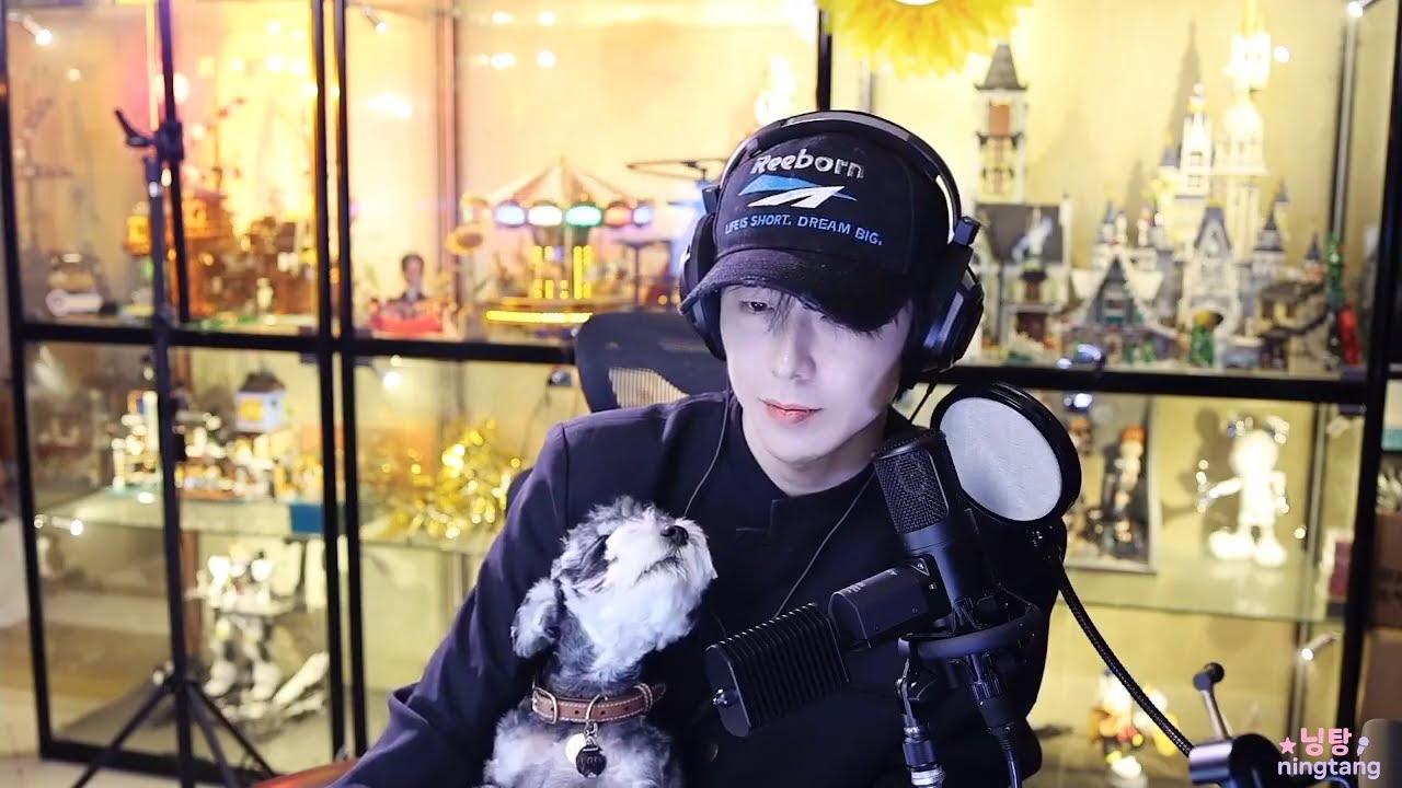 [류우녕]250906 라이브방송_의역오역난무함