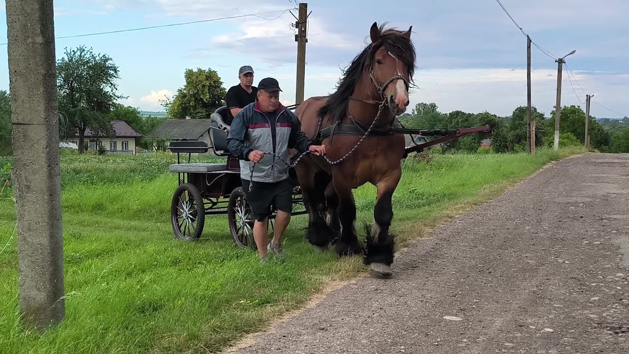 ВЕЧІРНЯ ПРОГУЛЯНКА ІГІ 👍👍👍