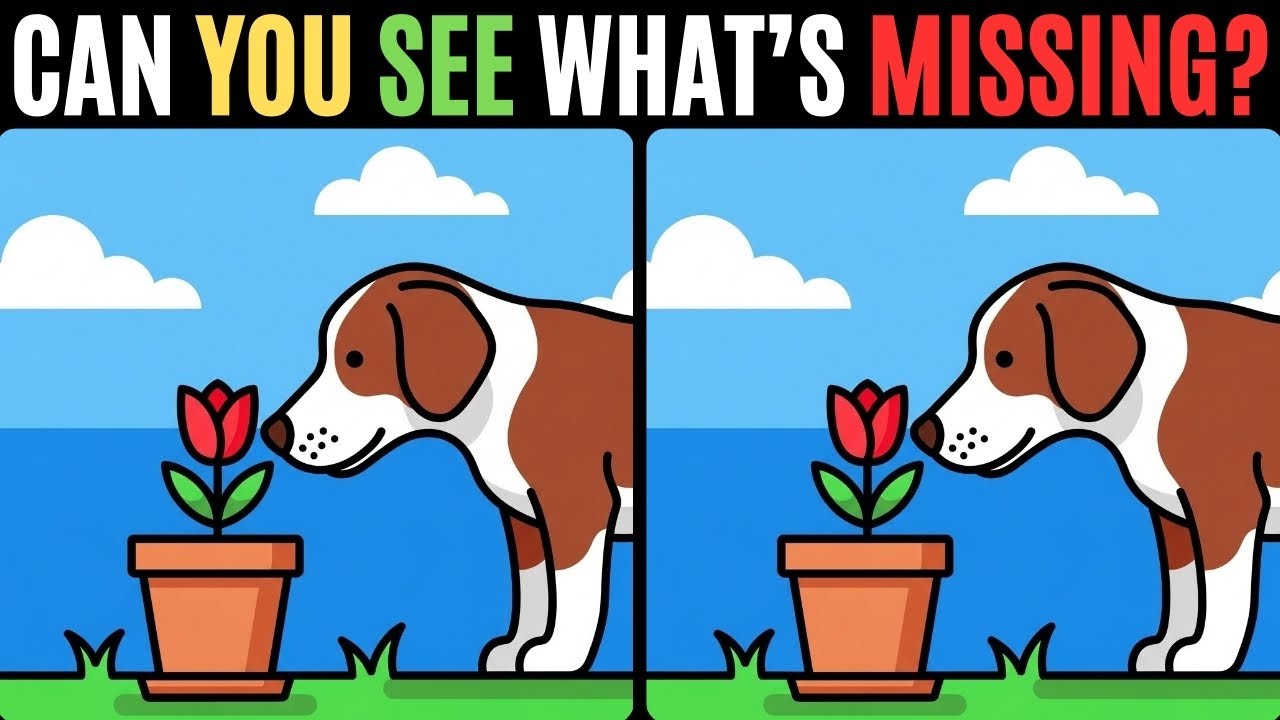 Spot The Difference 🧩 Ultimate Focus Test! 👁️ Can Your Brain Handle This? 🧠🔥 #376