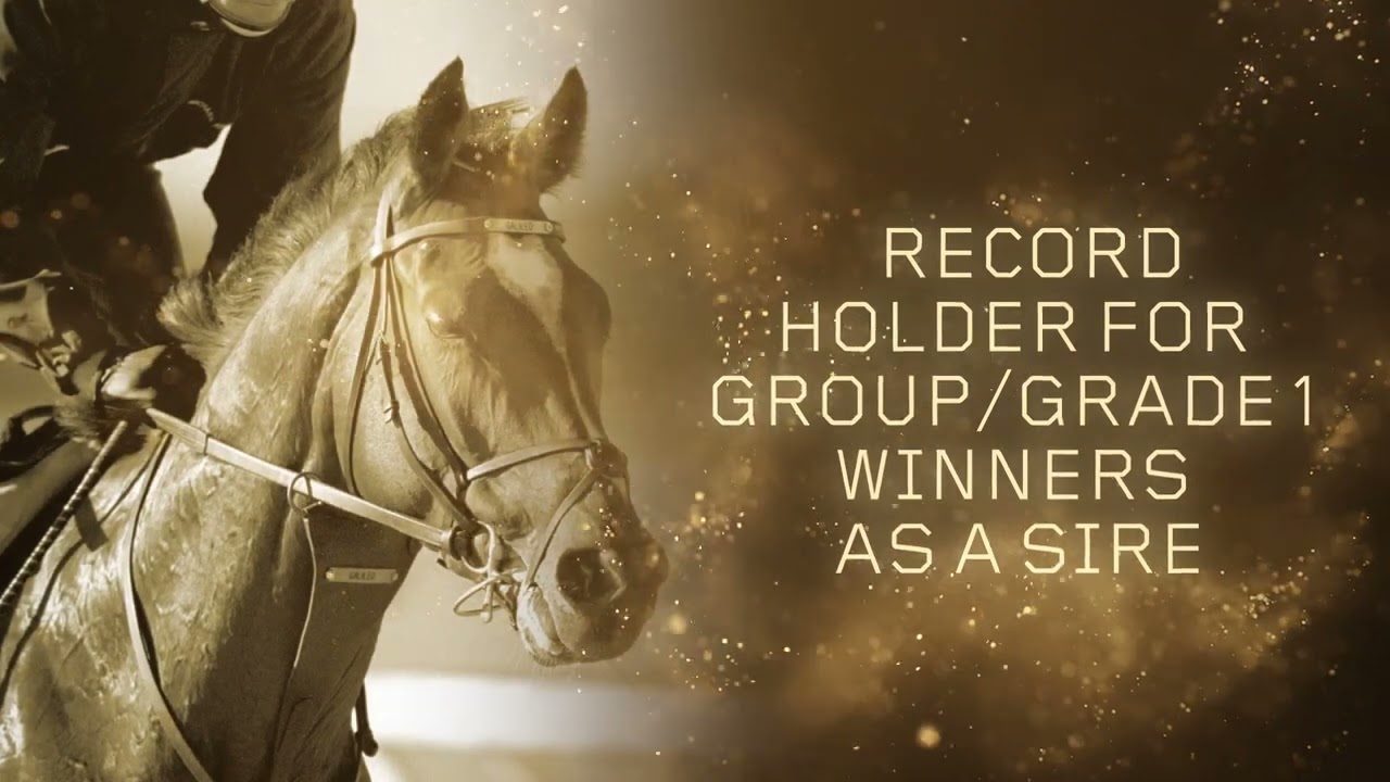 QIPCO British Champions Series Hall of Fame Induction: Galileo