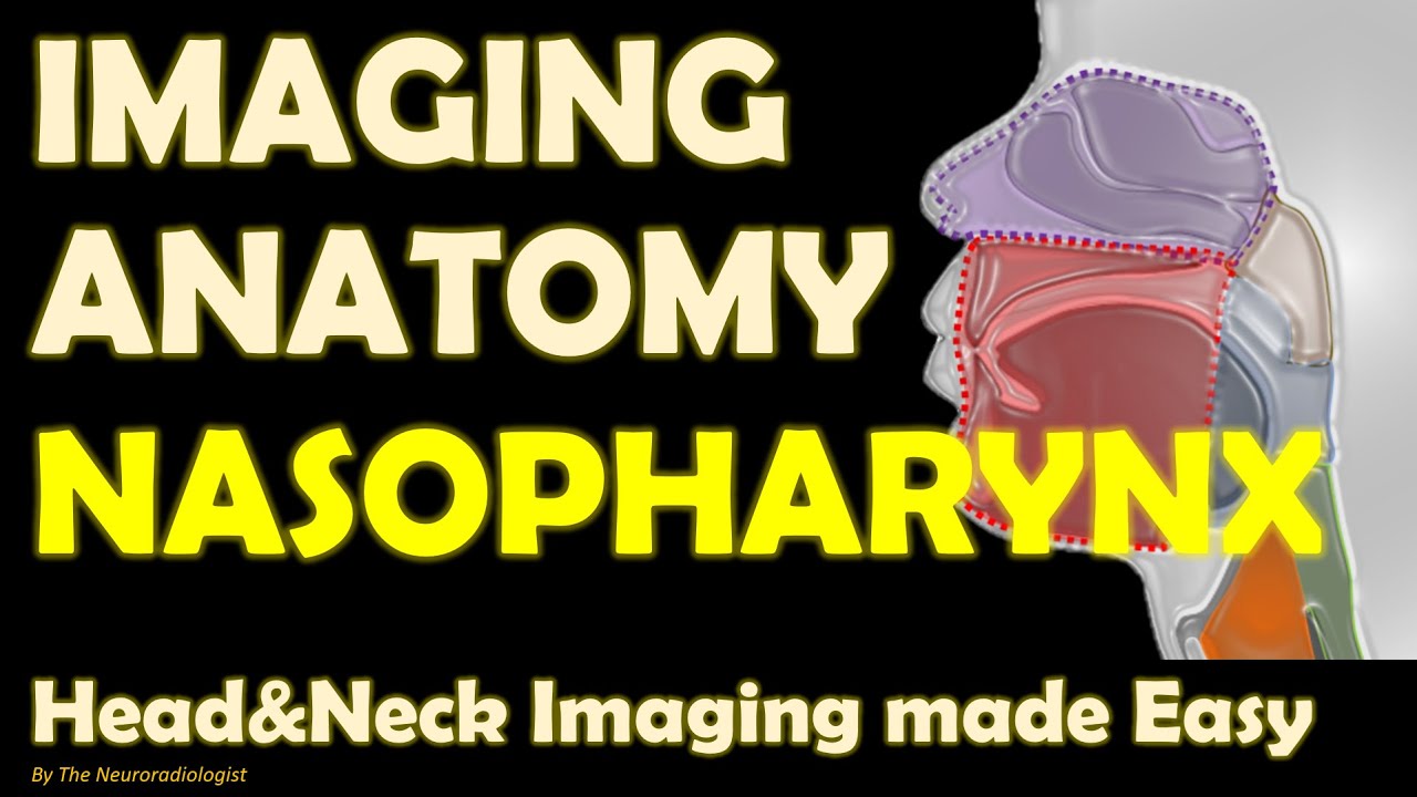 Imaging Anatomy of the Pharynx (2): Nasopharynx