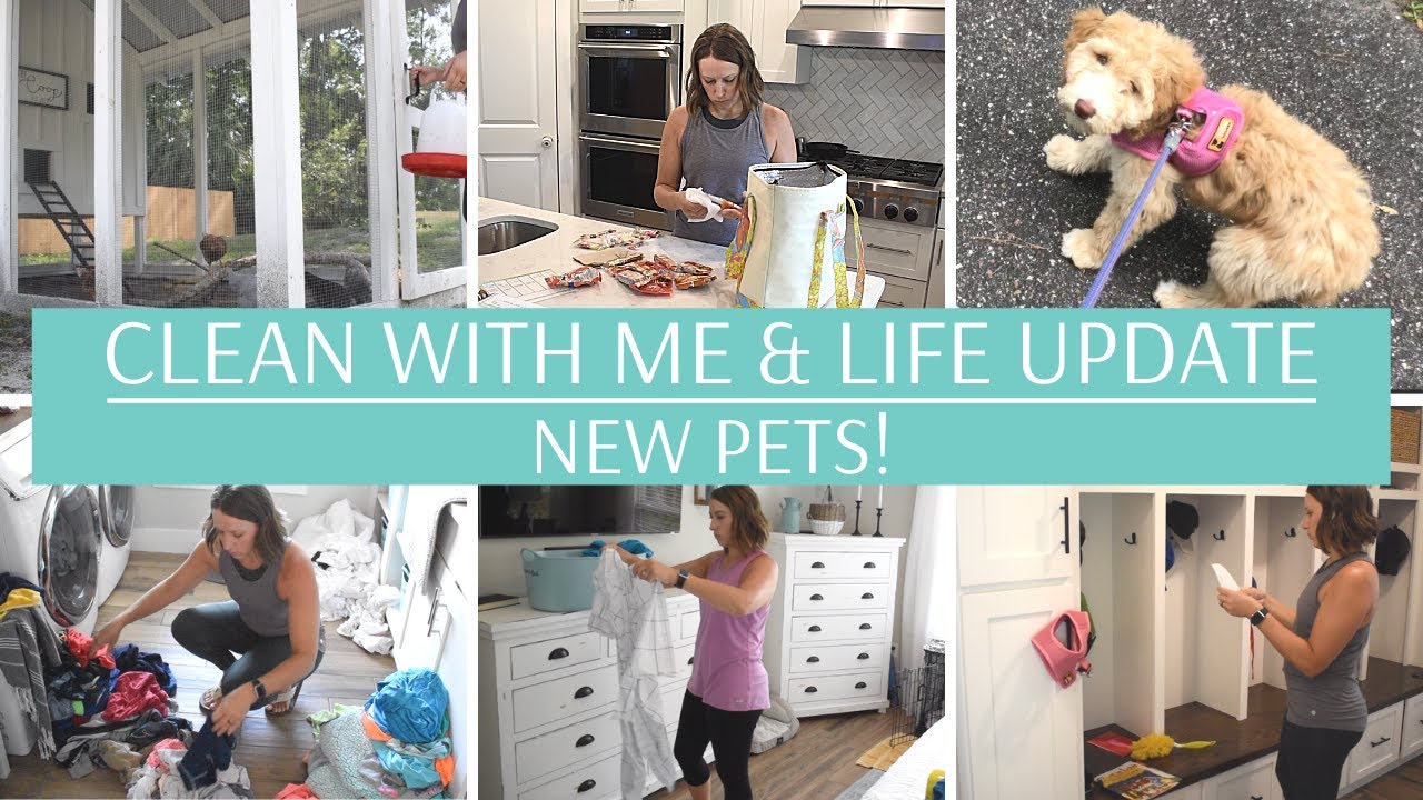 CLEAN WITH ME & LIFE UPDATE | NEW PETS!