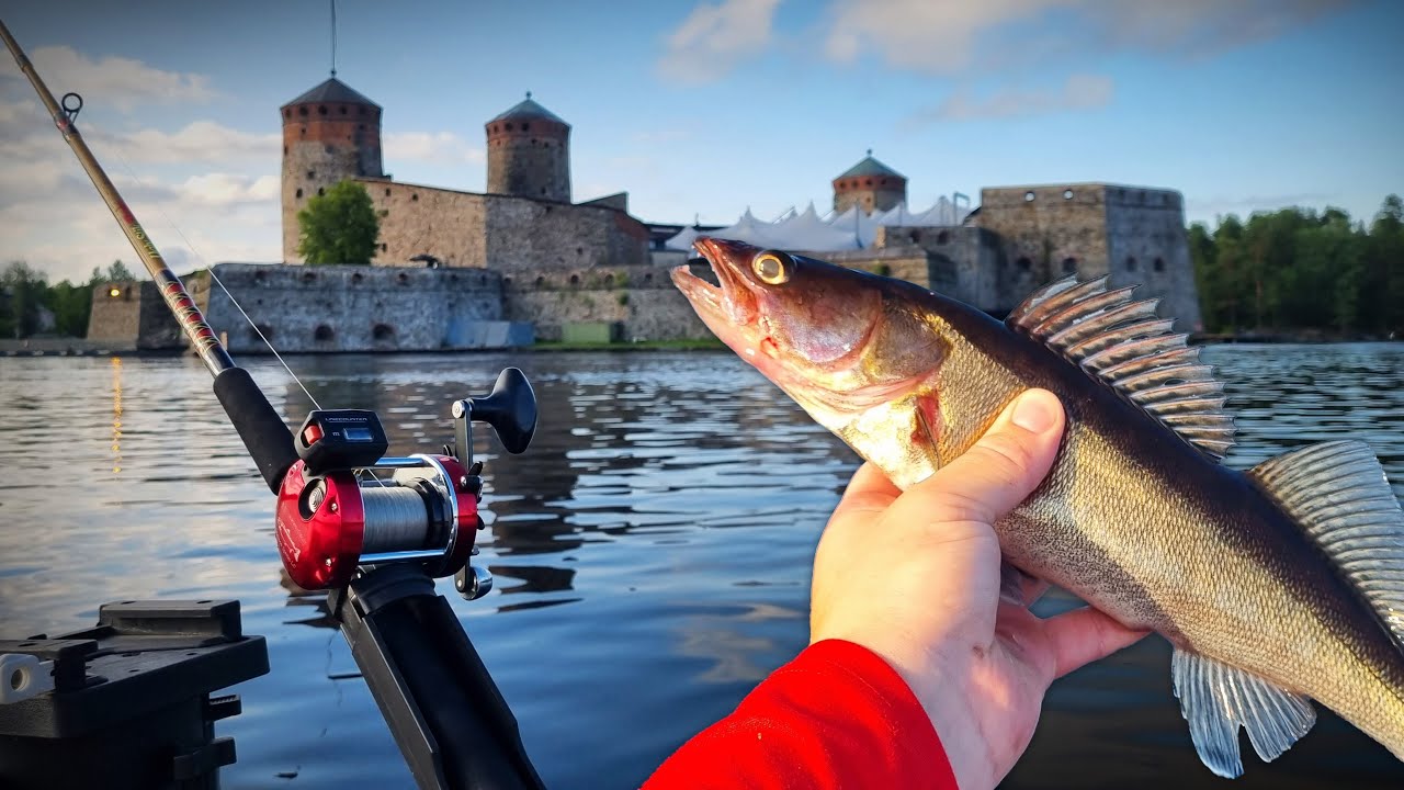 KAUPUNKIKALASSA | TAKILAUISTELUA | KUHAN VETOUISTELU | Savonlinna | Finnish Fisherman