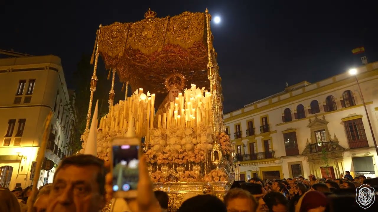 [4k] LA VIRGEN DE LAS ANGUSTIAS (David Hurtado) | #LunesSanto24 Hermandad de San Gonzalo