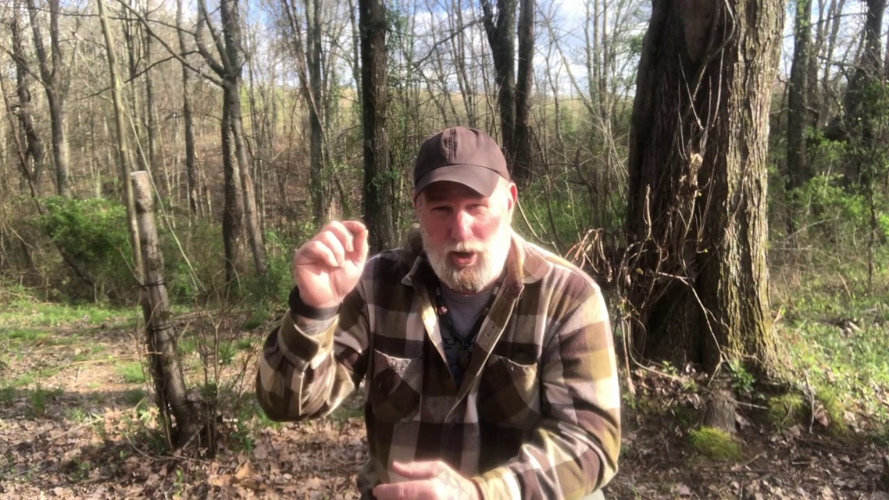 One Stick Trap Trigger