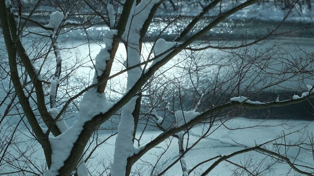 Nick Wood - Towadako Winter