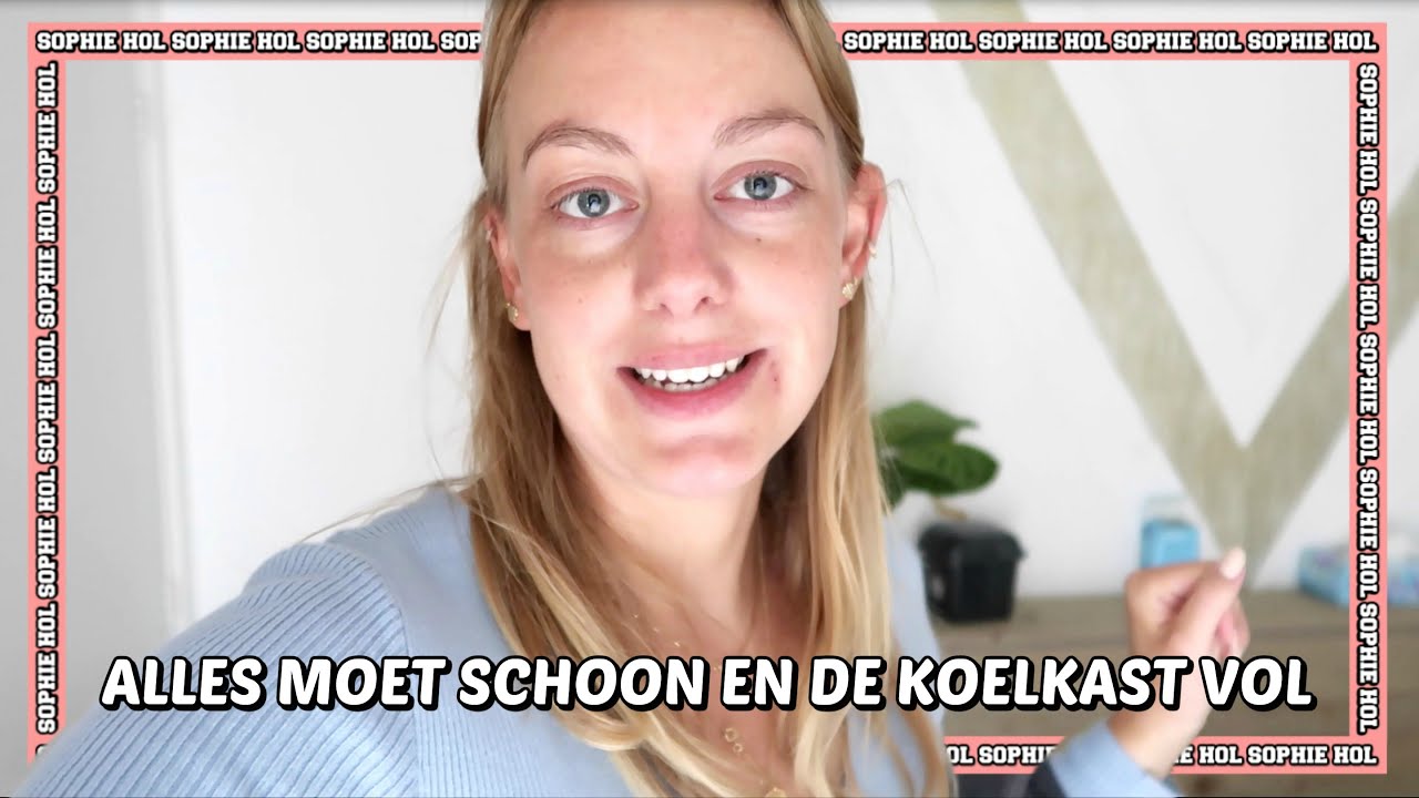 VLOG 1471 | GROTE SCHOONMAAK, INKOPEN EN VISITE | Sophie Hol | 2020