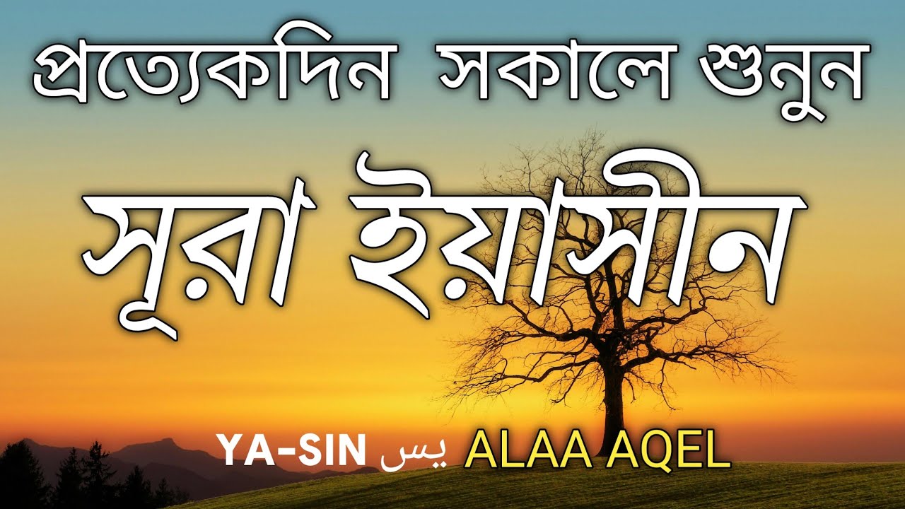 প্রতিদিন সকালে শুনুন-প্রশান্তিময় কন্ঠে সূরা ইয়াসীন|(سورة يس) SURAH YASIN | Morning Quran Recitation