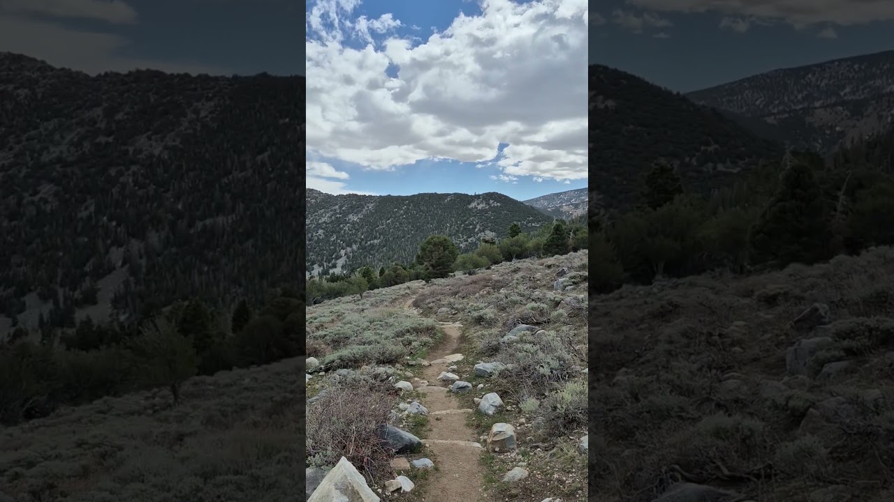 Day 3 Montage #loneliestroadinamerica #highway50 #roadtrip #traveling #travel #nevada #travelnevada