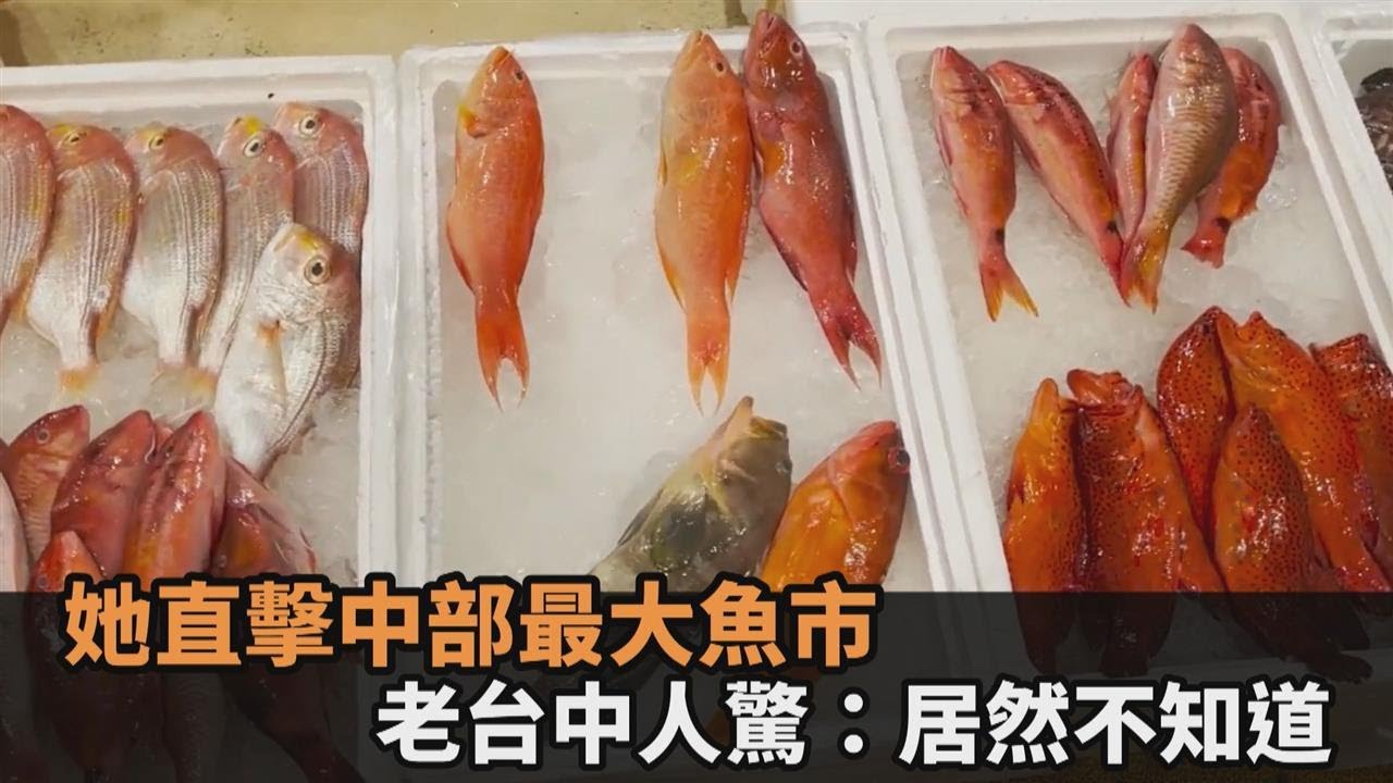 她直擊中部最大魚貨拍賣集中地　台中人驚：在地生活30年居然不知道－民視新聞
