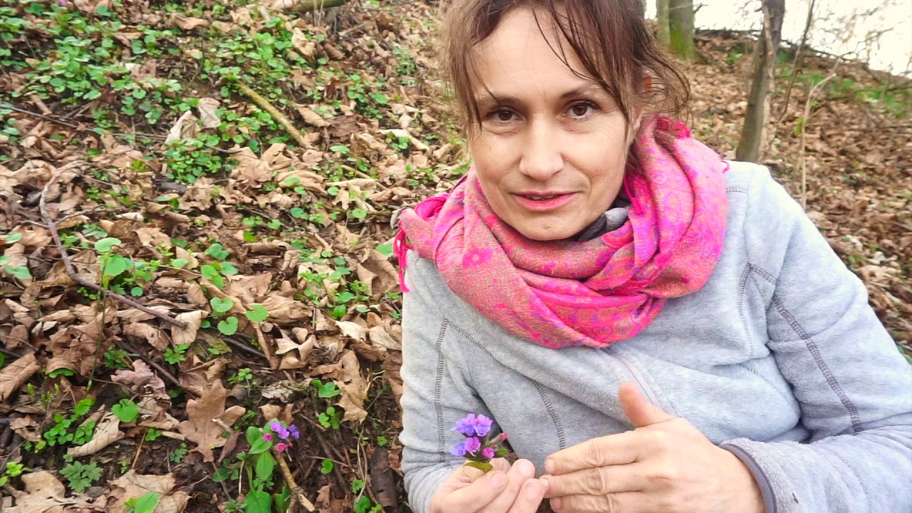 DOBRE ZIOŁO odc.6, MIODUNKA PLAMISTA | Marzena Andrzejewska, HIPOALERGICZNI
