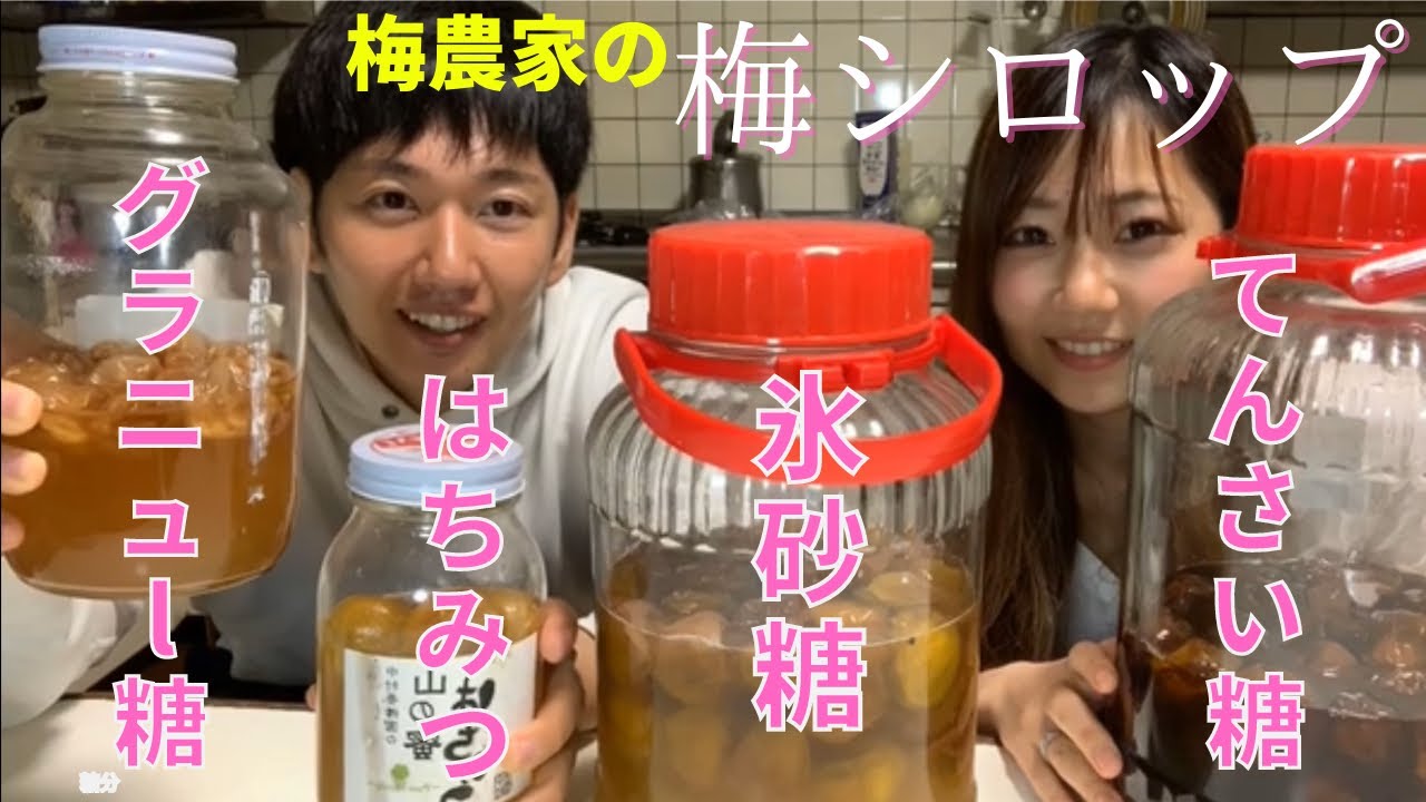 【梅シロップ】は氷砂糖だけじゃない！お砂糖No.1決定戦