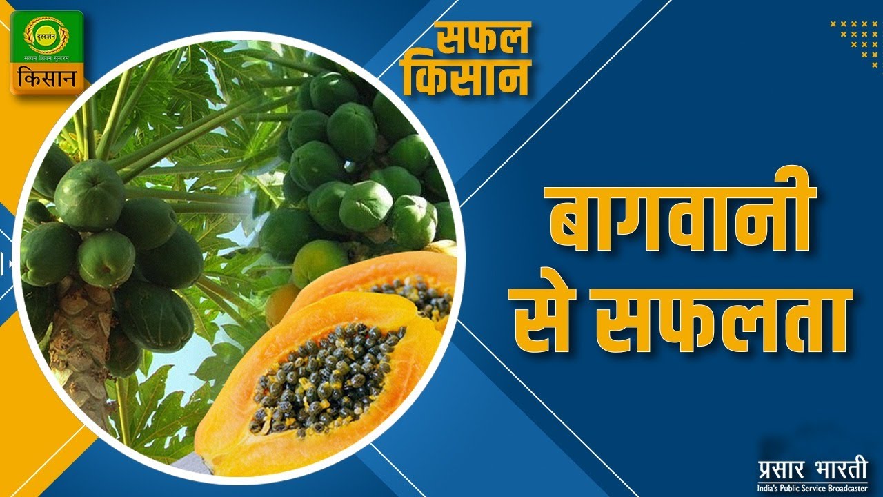 Safal Kisan | सफल किसान : बागवानी से सफलता | June 16, 2023