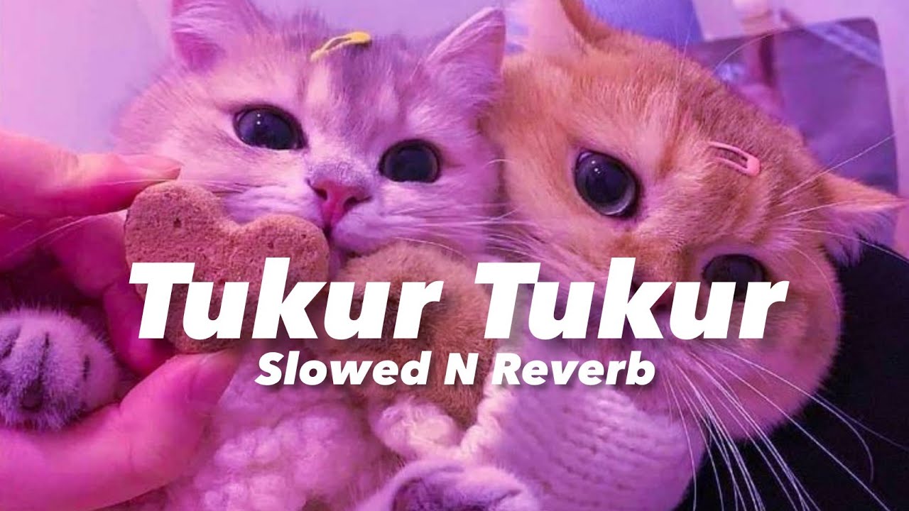 Tukur Tukur -Dilwale (Slowed n Reverb)