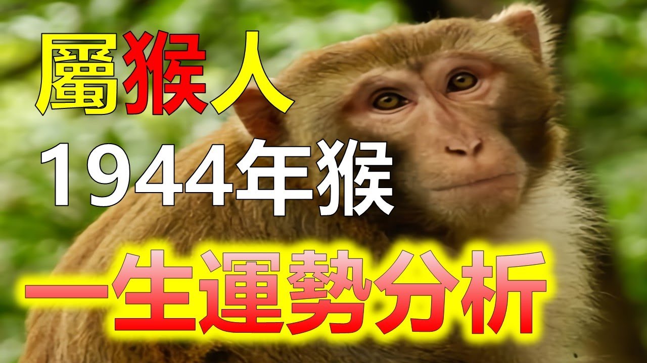 屬猴1944年出生的人，在中國十二生肖中屬於木猴一類。中國人認為，十二生肖與人的性格和命運有著密不可分的關係。1944年屬猴的人，一生會有怎樣的命運和壽命呢？1944年屬猴的一生運程，2024十二生肖