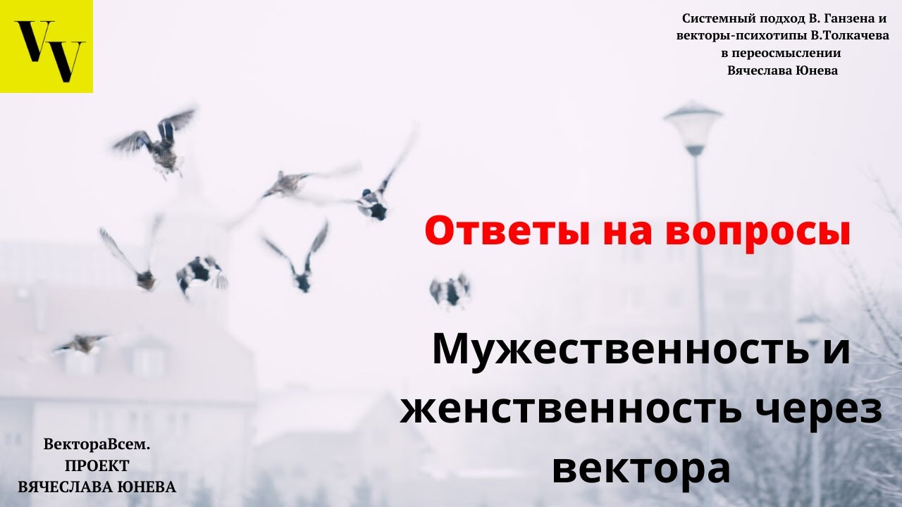 Мужественность и женственность через вектора. ВектораВсем. Проект Вячеслава Юнева