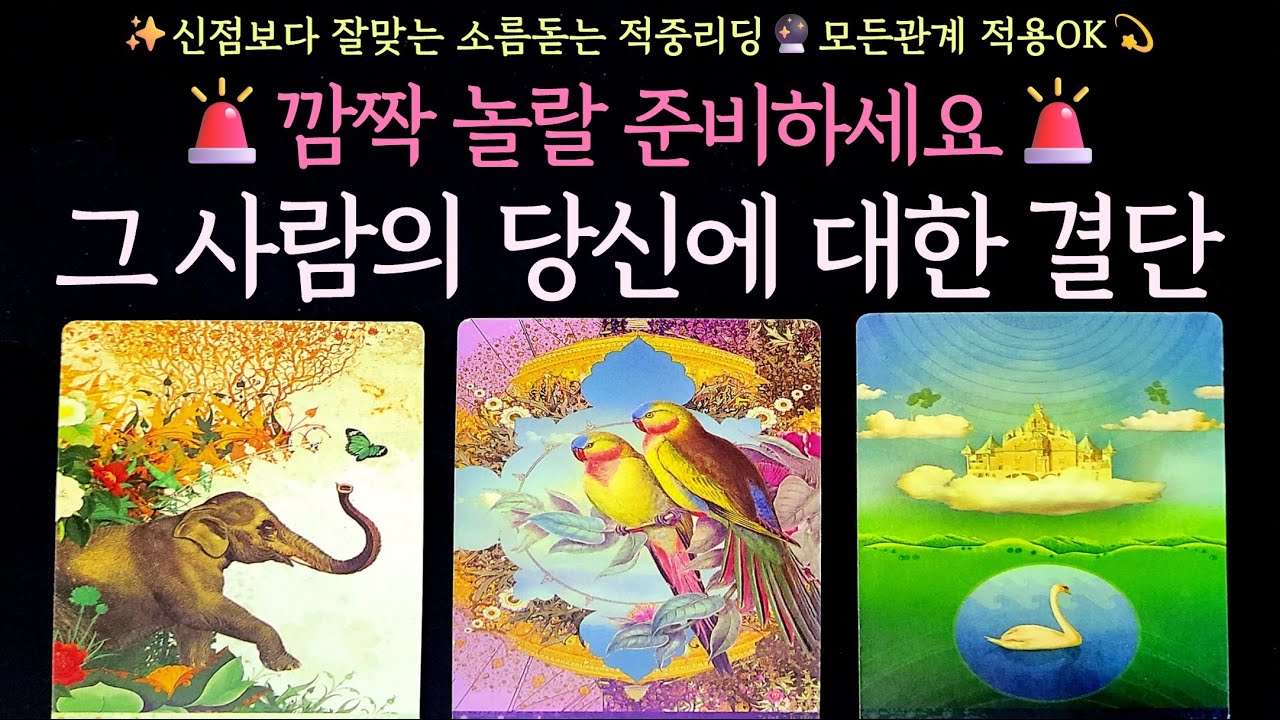 [타로] 🚨깜짝 놀랄 준비하세요🚨 그 사람의 당신에 대한 결단 ✨신점보다 잘맞는 소름 적중리딩🔮모든관계 적용OK💫