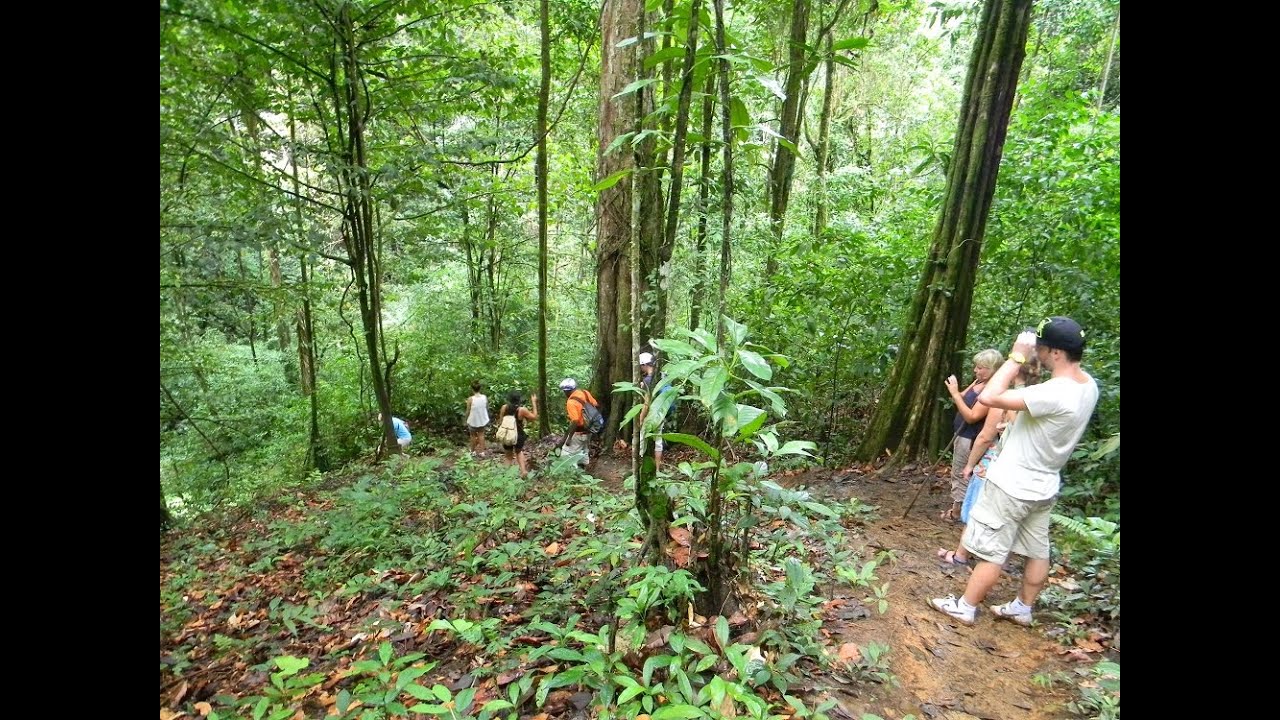 Brownsberg plus tour - Orange Travel Suriname