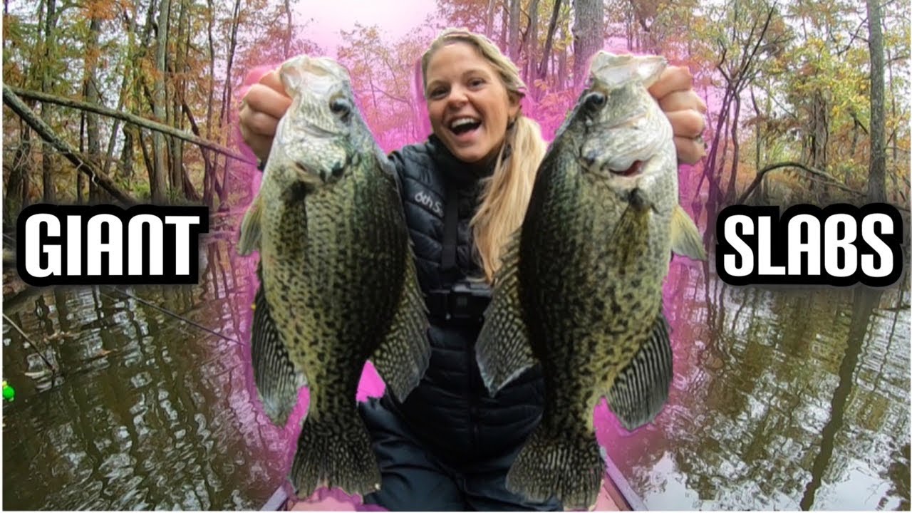 CATCHING HUGE SLABS WITH JIGS AND BOBBERS!!!! Fishing For Fall Crappie In A Swamp!