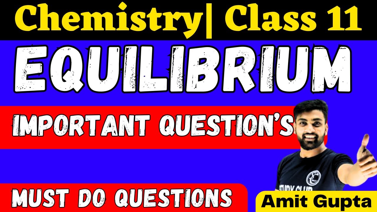 Important Questions Of Equilibrium Class 11  | Important Questions Of Equilibrium Chemistry Class 11
