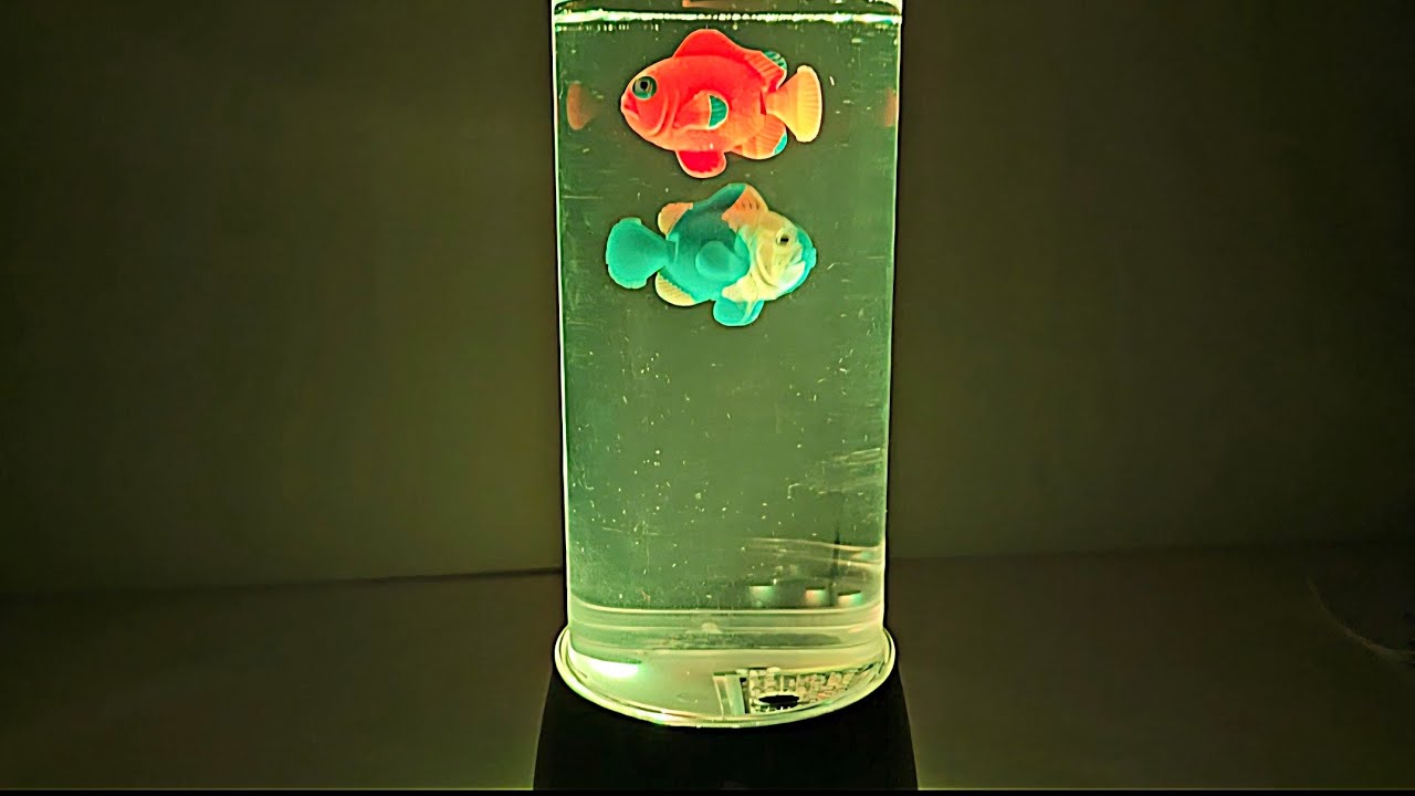 Fishkeeper Mini Fish Tank