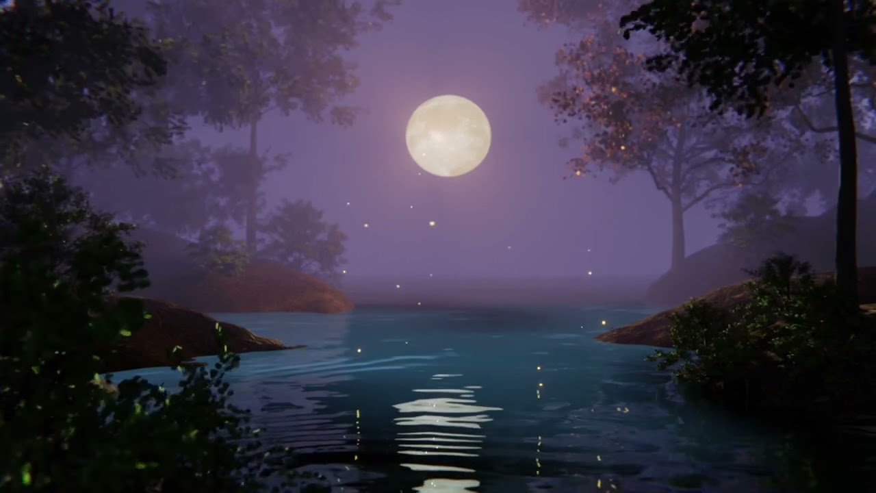 Quiet Summer night, chillout. Magical summer evening. Romantic night ambiance. Dreamy music visuals