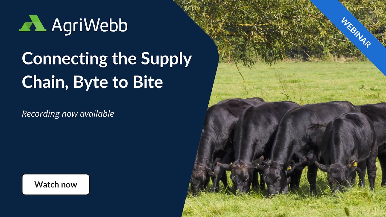 AgriWebb Webinar: Connecting the Supply Chain, Byte to Bite
