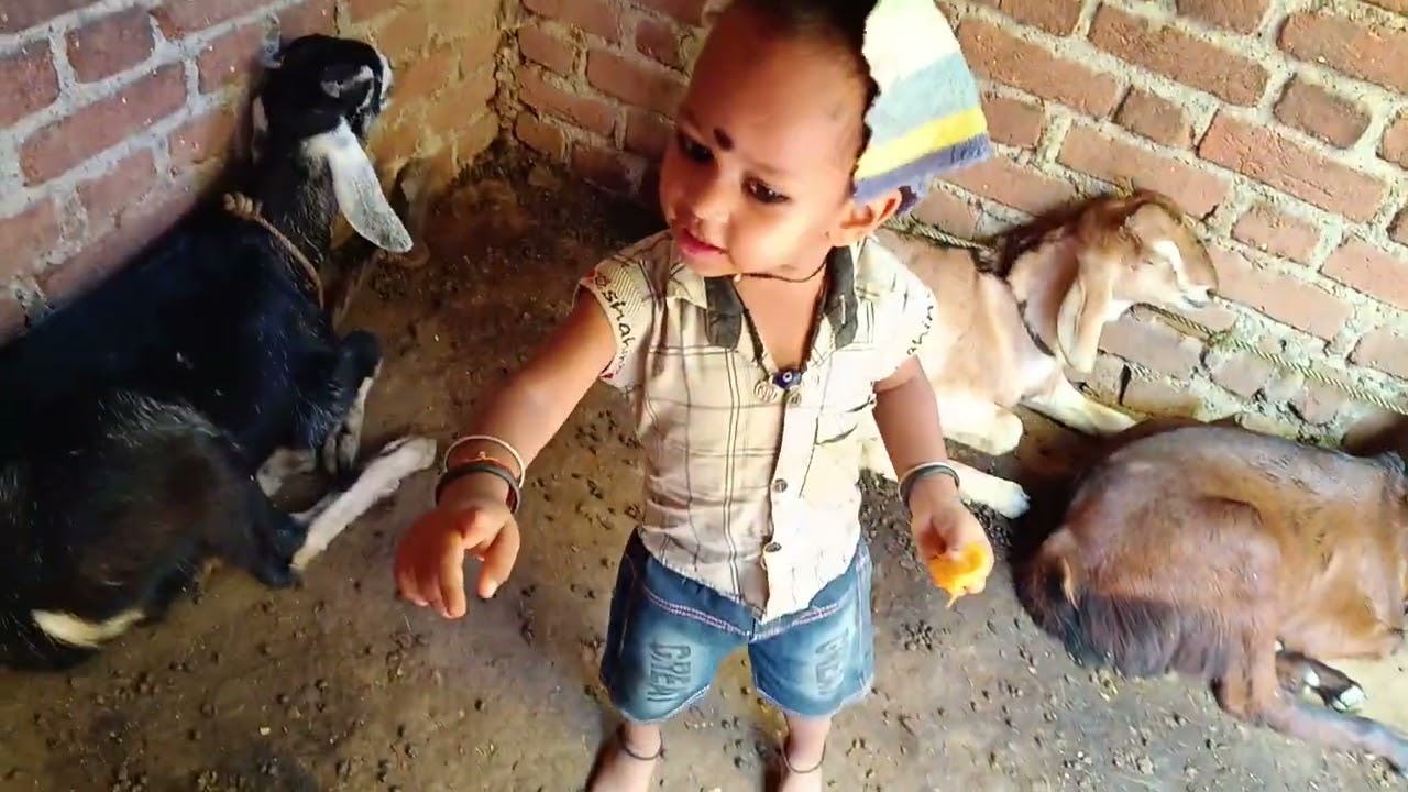 दोस्त मन्नू के