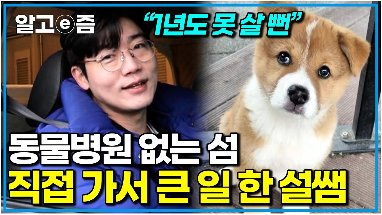 설쌤이 직접 간다! 병원 가기 어려운 섬마을 돌며 진료하다 심각한 상태 발견한 설쌤｜세상에 나쁜 개는 없다｜알고e즘