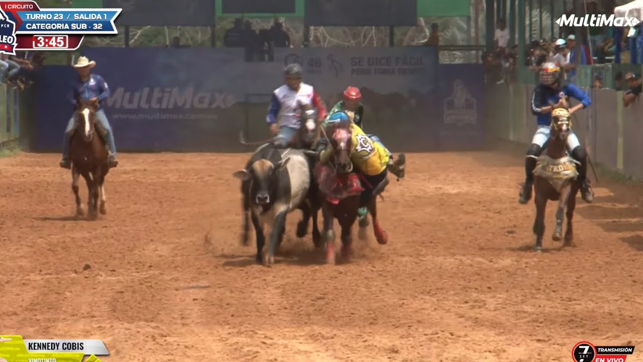ProColeoRanking Cat Sub 32 (Primera Salida)