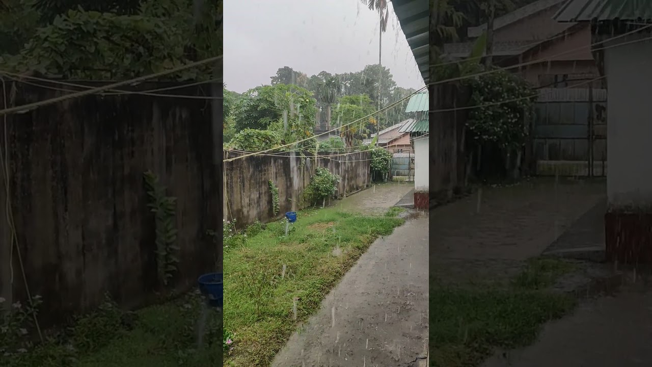 Heavy rain ☔ #assam #rain #rainyday
