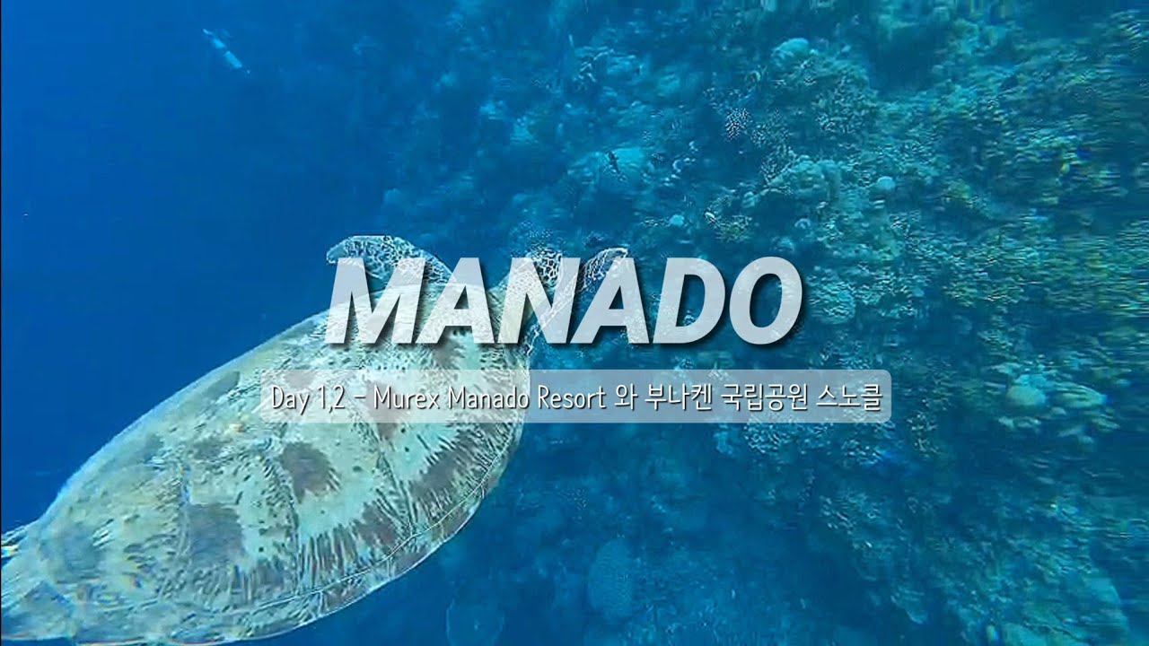 인도네시아 마나도 - DAY1,2 부나켄 해양 국립공원 스노클, MUREX DIVE RESORT