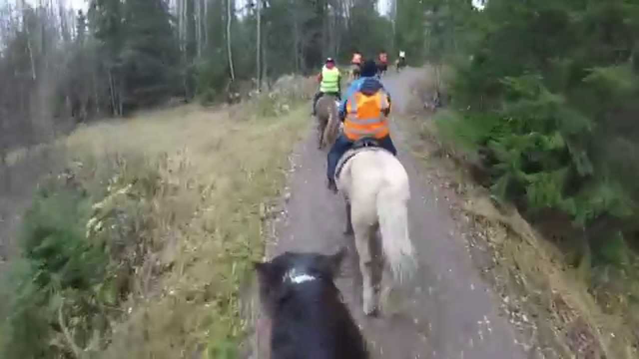 Issikkavaellus 2015