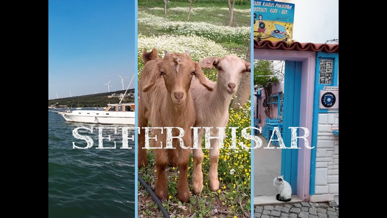 Seferihisar has Turkey's first slow city Sığacık and The hometown of Dionysus #3
