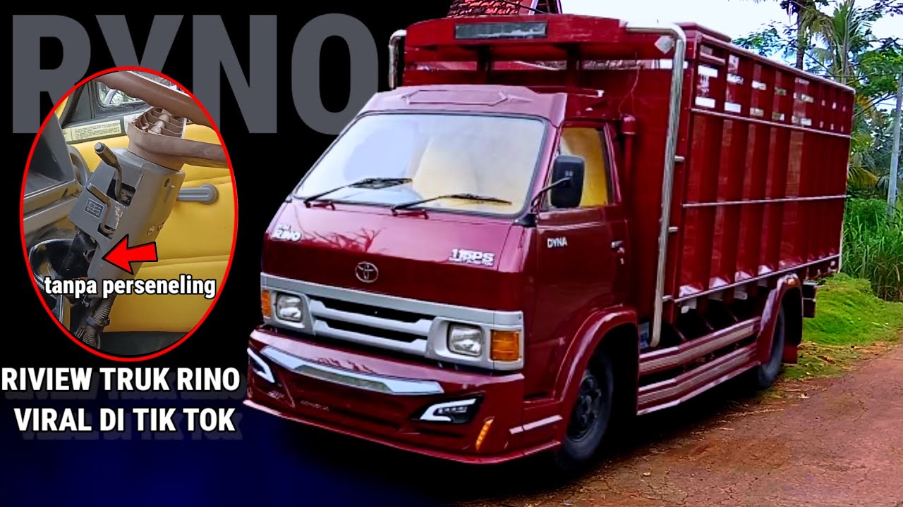 RIVIEW TRUK DYNA / RINO MODIFIKASI 80 JUTA VIRAL !! TANPA PERSENELENG SAMPING