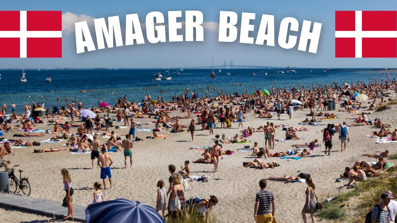 POV Walk at Amager Beach, Copenhagen Denmark | Relaxing Beach Walk & Sea View