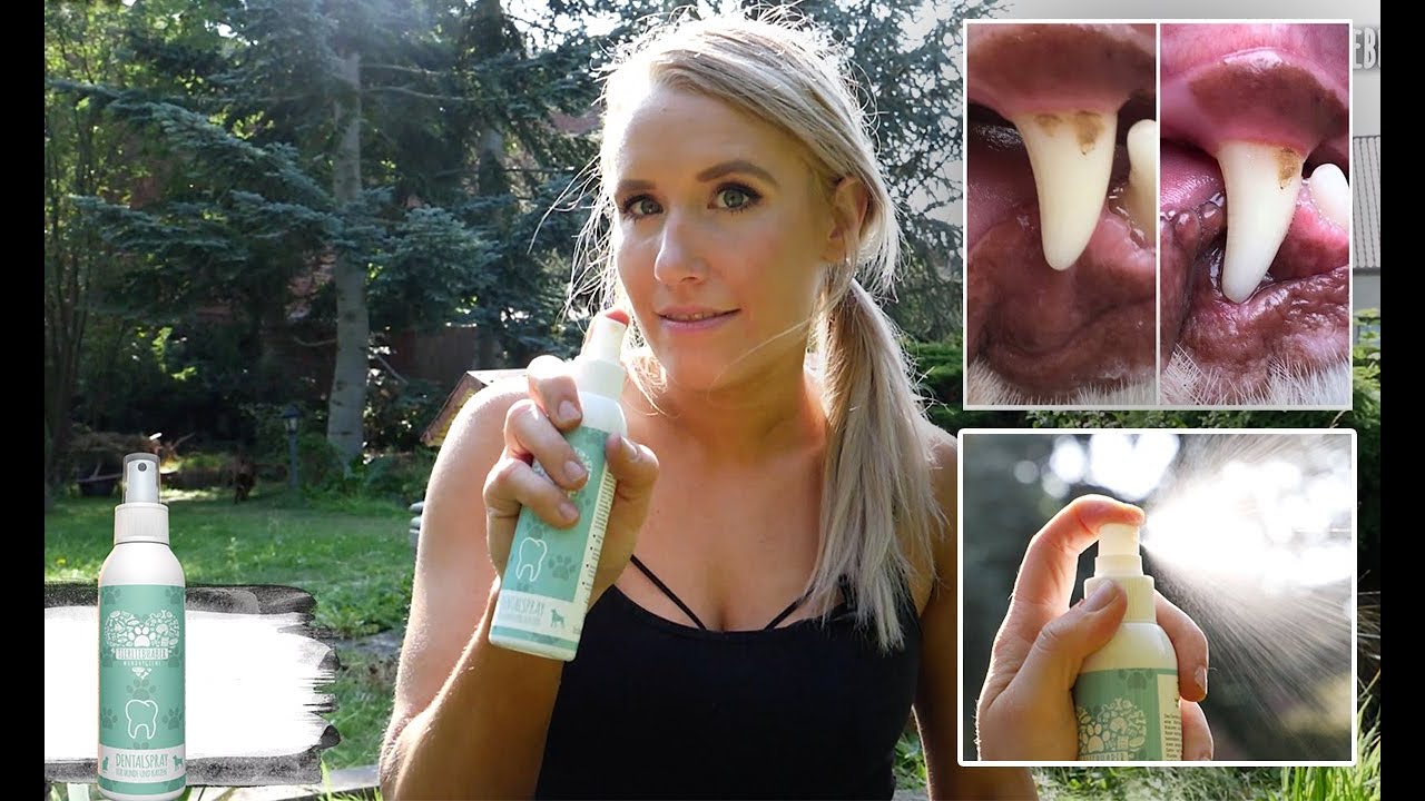 Dentalspray | So wird die Zahnpflege beim Hund zum Kinderspiel!