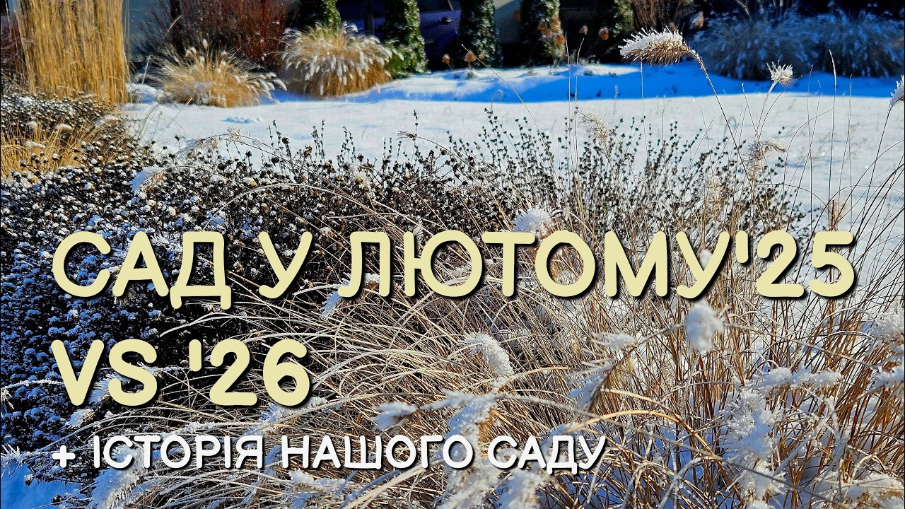 Два різних лютих — 2025 та 2026 — та історія нашої ділянки і саду