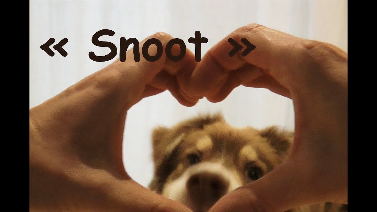 Snoot challenge