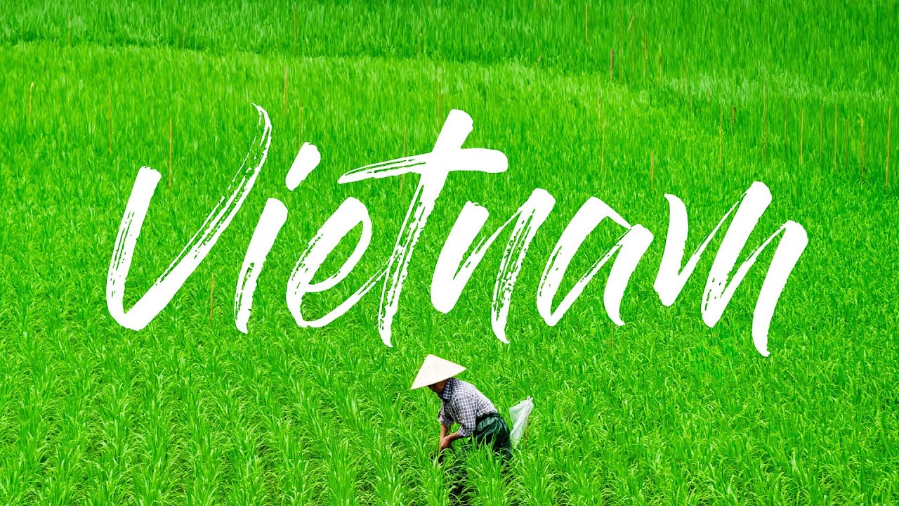 Vietnam 🇻🇳 - 15 jours du sud au nord !