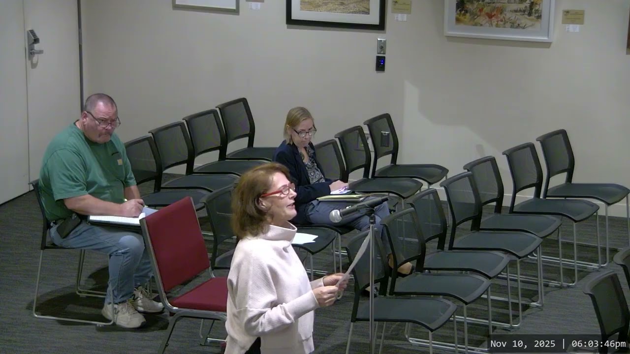 City Council Meeting - November 10, 2025