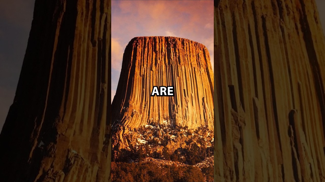 Are Mountains The Remains Of Ancient Giant Trees