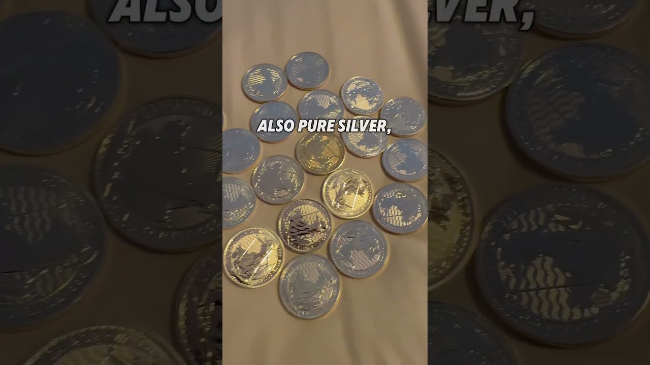 Chinese Panda vs British Britannia: Best Coin to Stack In US?
