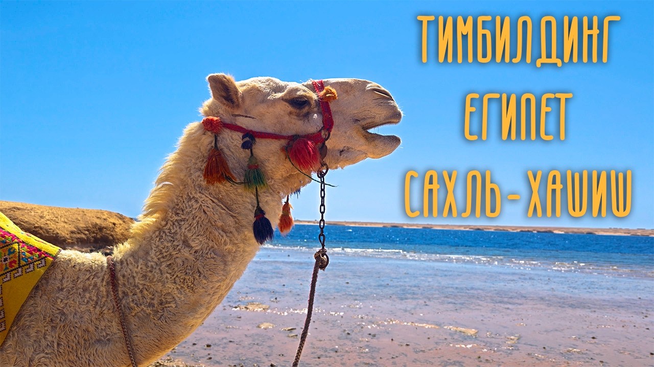 Майские праздники 2025 и тимбилдинг в Египте, Сахль-Хашиш . Отель Old Palace Resort