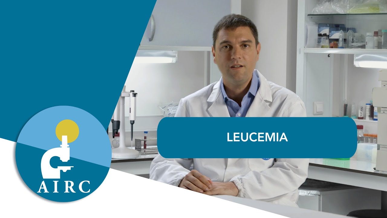 Leucemia: sintomi, prevenzione, cause, diagnosi, cura e ricerca | AIRC