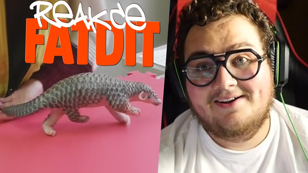 CHYŤ SI SVÝHO POKEMONA!
