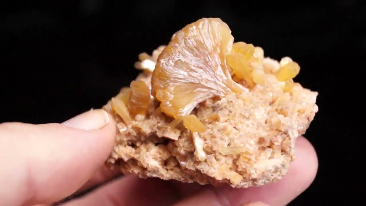 Stillbite, Chabazite, Wasson's Bluff, Cumberland Co., Parrsboro, Nova Scotia, Canada