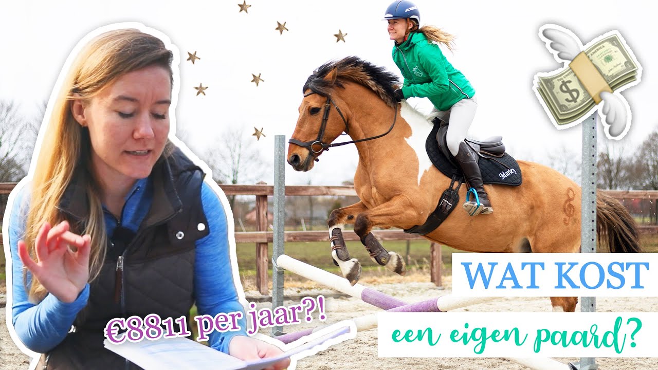 Wat moet je allemaal weten voor je EERSTE EIGEN PAARD? | felinehoi PAARD KOPEN #1