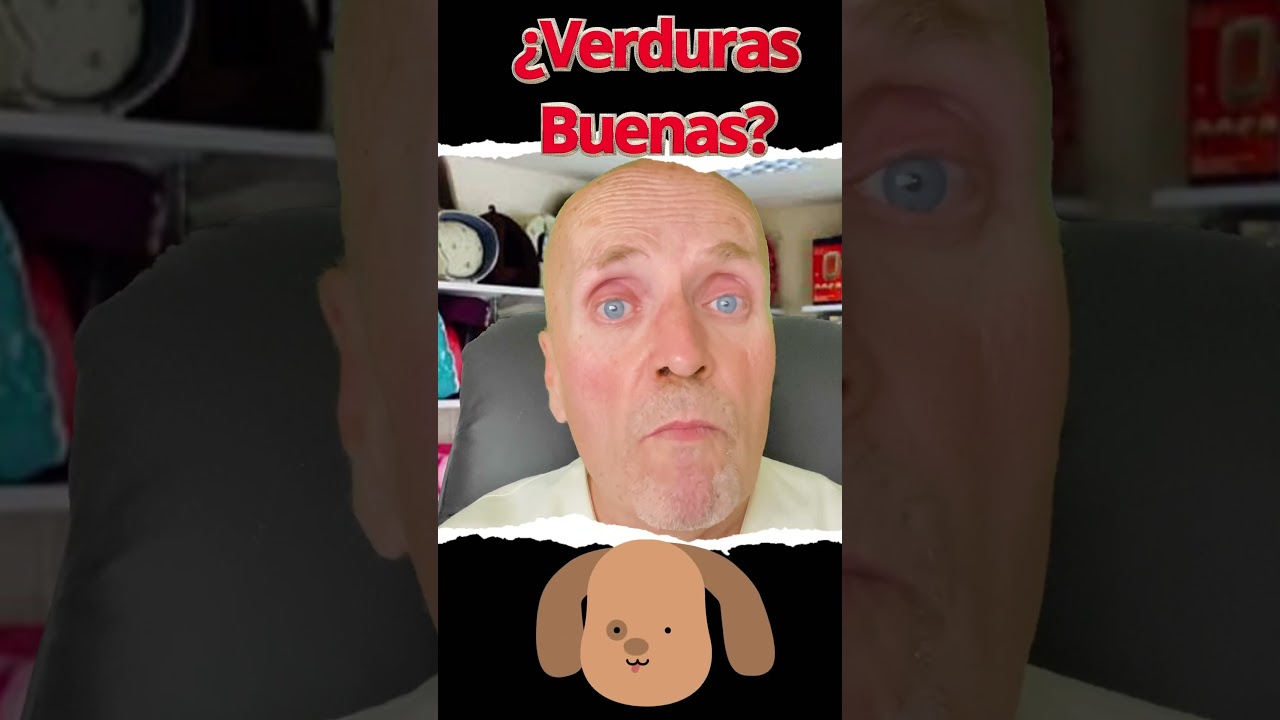 ✅ &iquest;QUE VERDURAS PUEDEN COMER Y SON BUENAS PARA LOS PERROS? ✅ Dosis y Beneficios