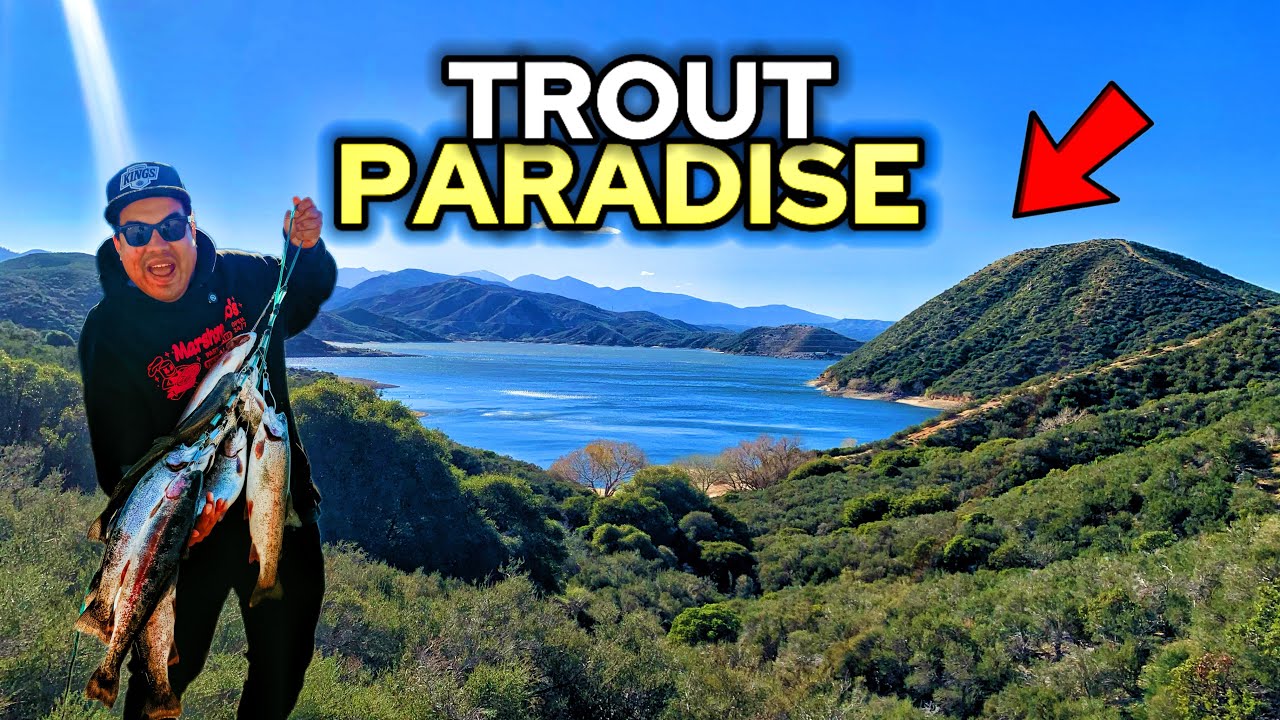 Epic SoCal Trout fishing: Silverwood lake 